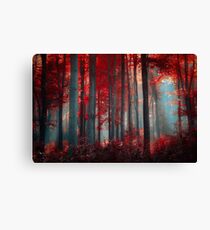 Fire an Flame Canvas Print