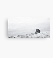 Horse. Metal Print