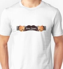 CatStashe Unisex T-Shirt