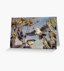 Desert Heat -- Cactus Wren Greeting Card