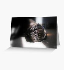 Sweet Old Girl... Greeting Card