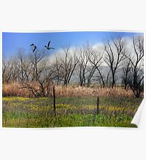 San Jacinto Wildlife Preserve Poster