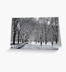 Central Park Mall Winter Scene Greeting Card