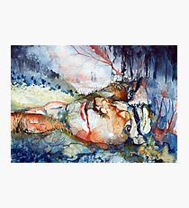 Altered Reality Photographic Print