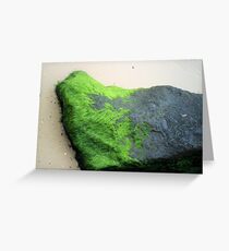 Living Rock Greeting Card