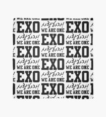 'EXO Saranghaja! We Are One' Scarf