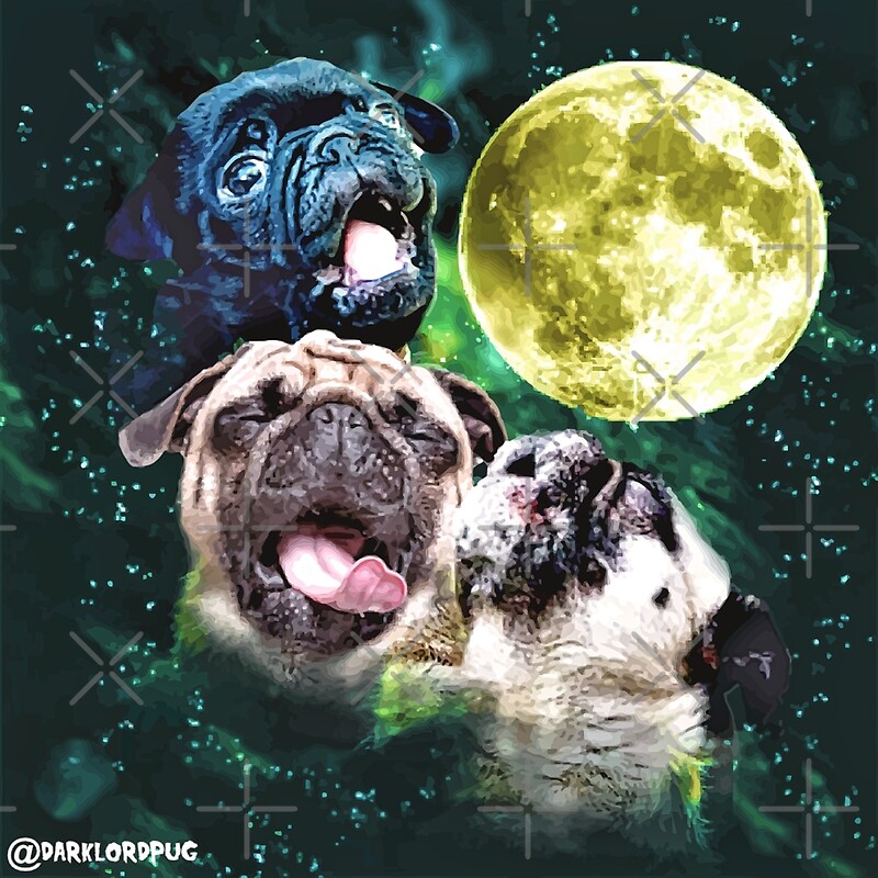 Pug: Posters | Redbubble