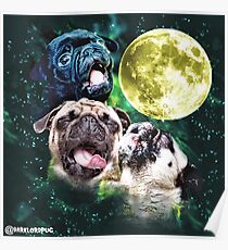 Heulender Mops Poster