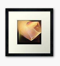 Focus Framed Print