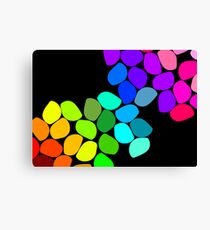 Coloured Pebbles Canvas Print