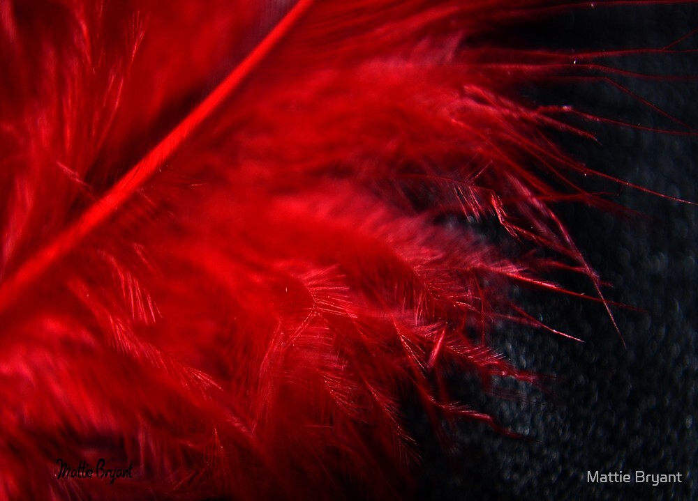 Red Feather Macro
