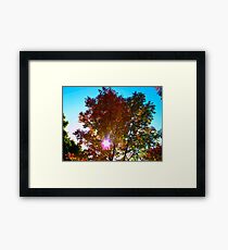 Autumn levity Framed Print