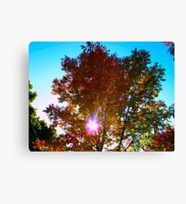 Autumn levity Canvas Print