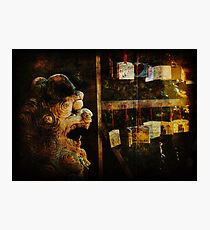 Guardian Shisa Photographic Print