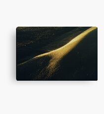 golden sand Canvas Print