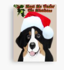 ♂ ♀ ∞ ☆ ★ WILL U MEET ME UNDER THE MISTLETOE? ♂ ♀ ∞ ☆ ★ Leinwanddruck