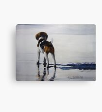 Beagle Reflections Canvas Print