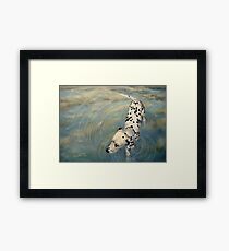 Dalmatian In The Sky Framed Print