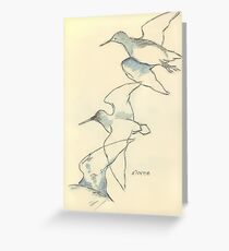 Sketching birds Greeting Card
