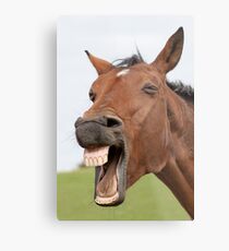 Funny Face Metal Print