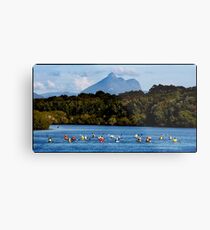 Mt Warning 10 Metal Print