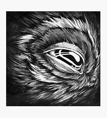 let me sleep Photographic Print