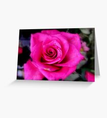 Soft Pink Greeting Card