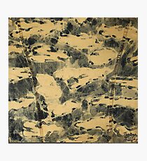 Water Camouflage Photographic Print