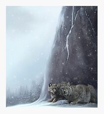 Jeremiah's Light Photographic Print