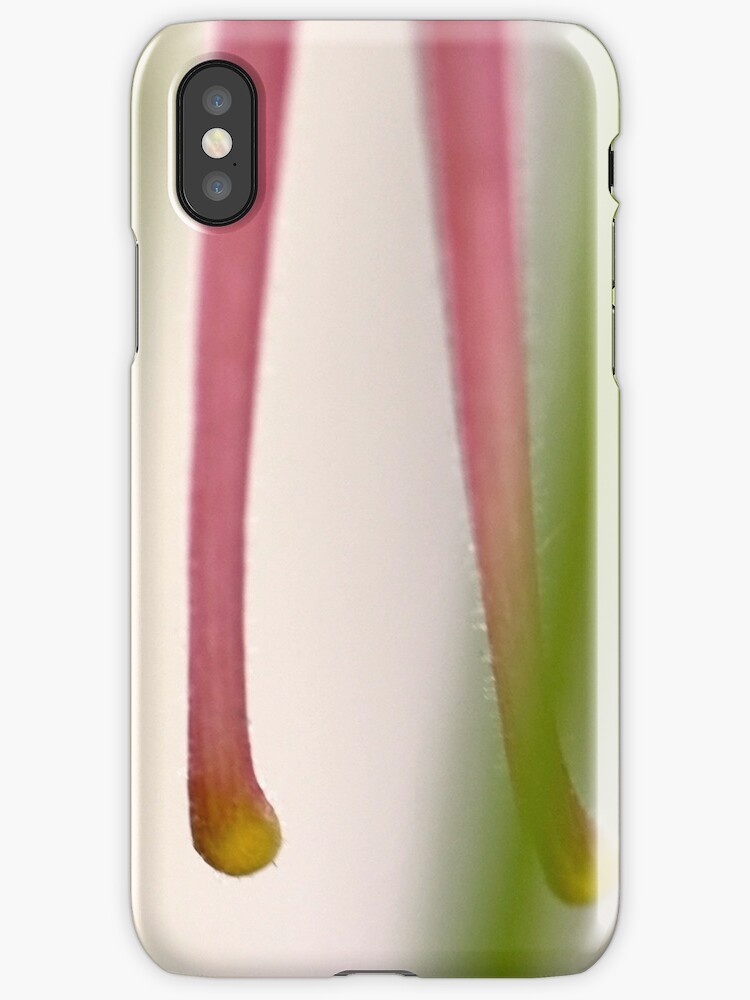coque iphone 6 columbine coque iphone 6 columbine