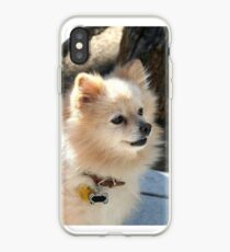 Pomeranian dog iPhone-Hülle & Cover