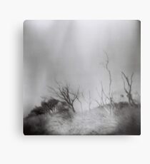 Untitled Metal Print