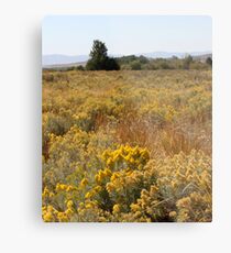 Brush Metal Print