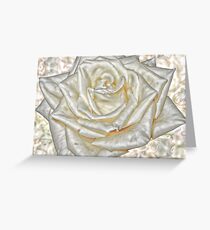 Rose; All Dressed Up Greeting Card