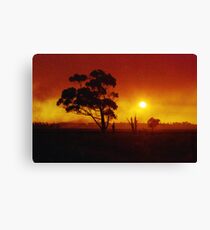 Bushfire Canvas Print
