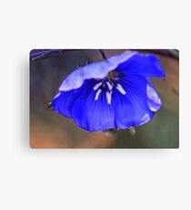 Blue Flax Umbrella Canvas Print