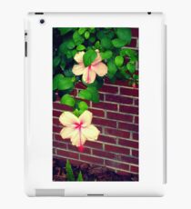 Hibiskusblüten iPad-Hülle & Klebefolie