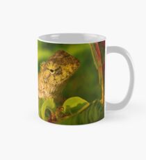 Taza clásica Leguan Echse 7870