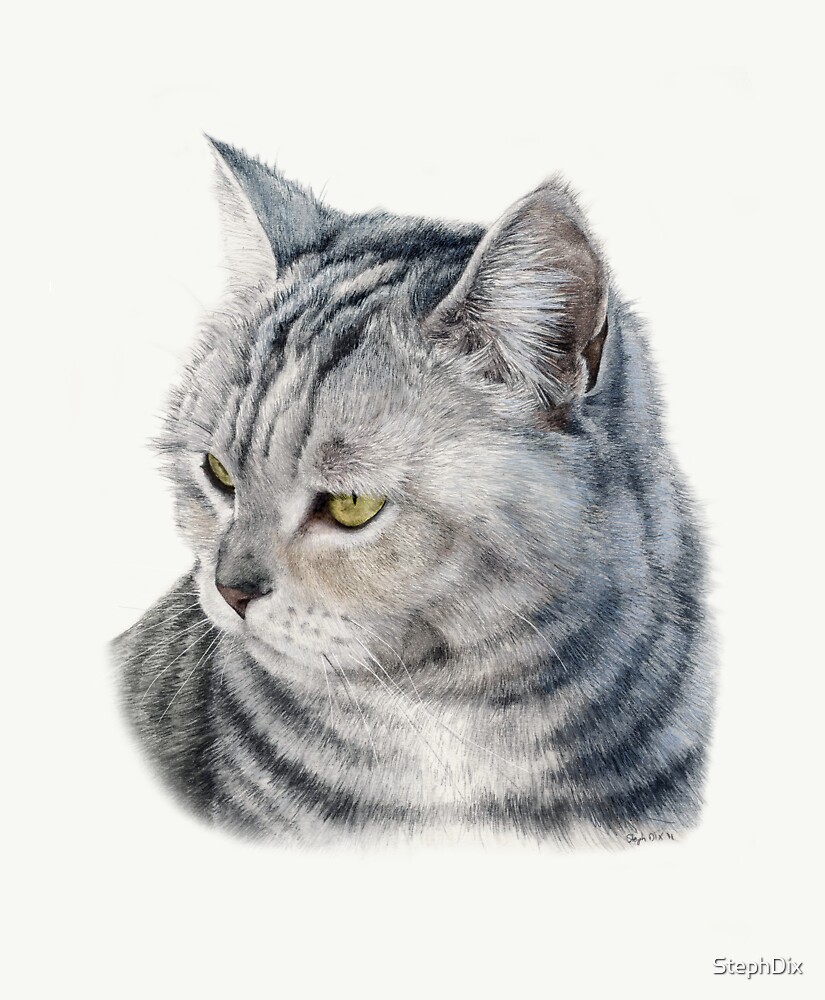 Рисунок карандашом кошка серая с голубыми глазами
