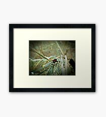 Journey Down Framed Print