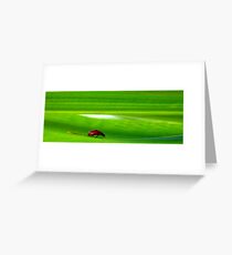 Gang-Art Greeting Card