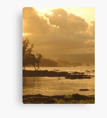 Hilo Shorelines Canvas Print