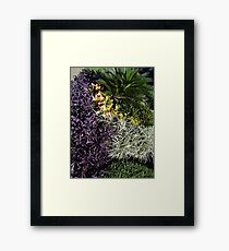 Winter in the tropics - Invierno en la zona tropical Framed Print