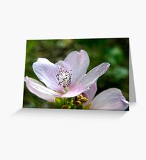 Tiny Pink Flower Greeting Card