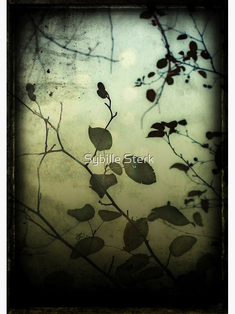 Through a Glass Darkly by MagpieMagic