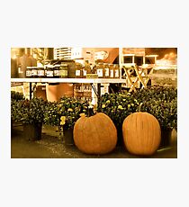 Honey Photographic Print