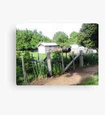 Blue Irises at the Gate, The Shieling Canvas Print