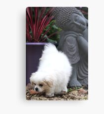 Lucy Metal Print