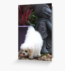 Lucy Greeting Card