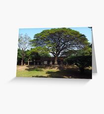 Eco Tree Greeting Card
